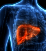 Hepatite C exige cuidados com o fígado API ID : article