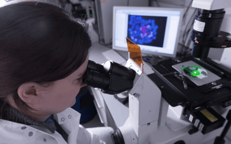 hospital-higienopolis-genetica-640x400-laboratorio.png