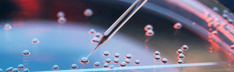 hospital-higienopolis-ginecologia-e-perinatologia-1300x401-reproducao-assistida.png