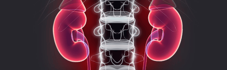 hospital-higienopolis-urologia-1300x400-centro-de-tratamento-litiase.png