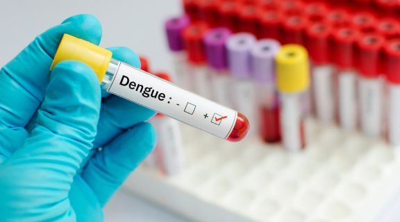 Perguntas sobre a Dengue