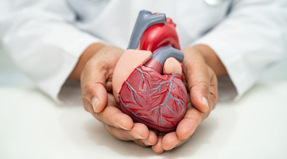 Fatores de risco para doenças cardiovasculares: o que observar
