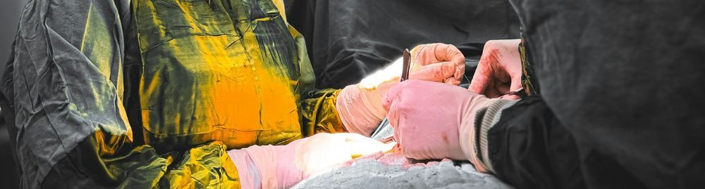 cirurgia torácica1.jpg