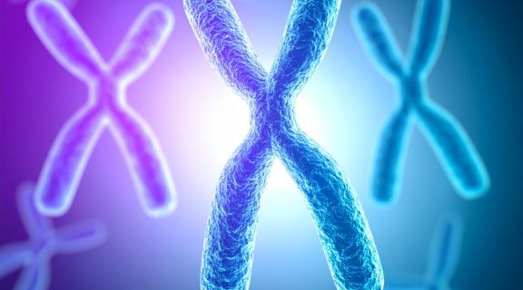 Doenças hereditárias: o que são, como elas são transmitidas e as mais comuns