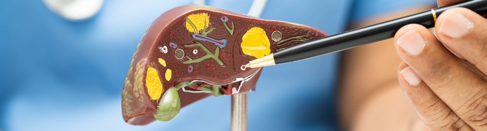 gastro cuida do fígado1.jpg