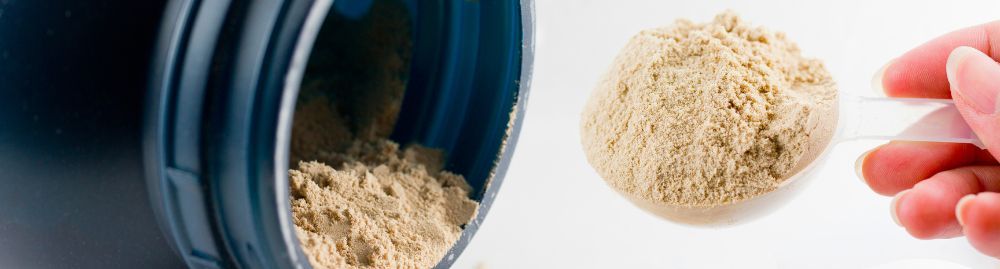 gestante pode tomar whey protein1.jpg