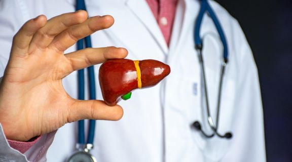 Médico que cuida do baço e fígado: qual e quando procurar cada especialista?