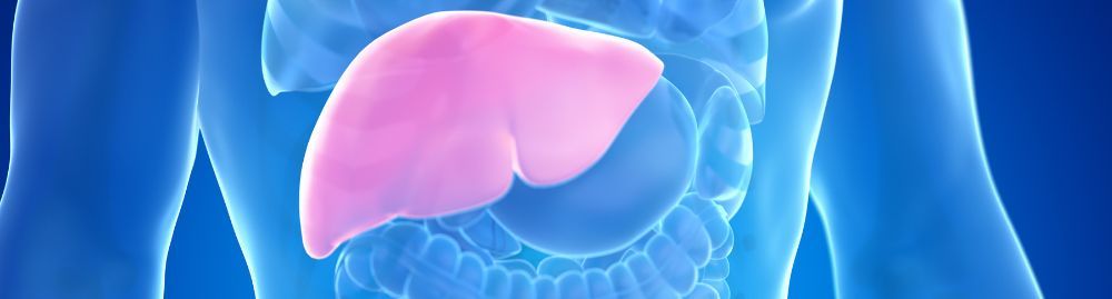 o que é esteatose hepática grau 1​1.jpg