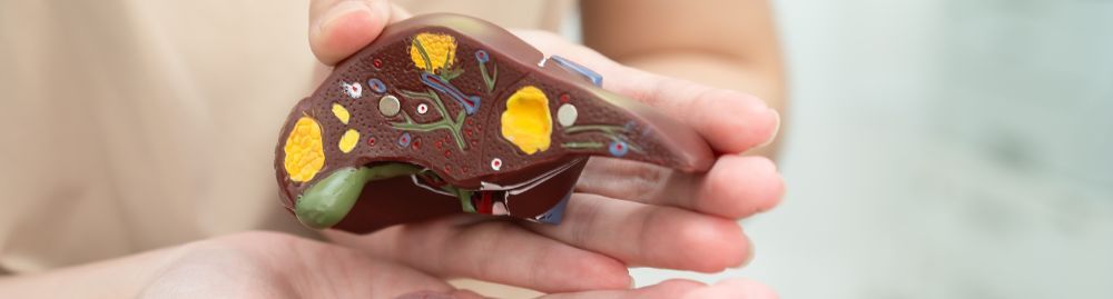 sintomas de hepatite autoimune1.jpg